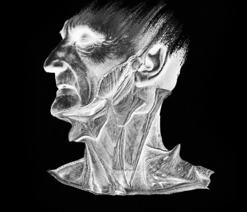Stigmata Records release visual from the original label page